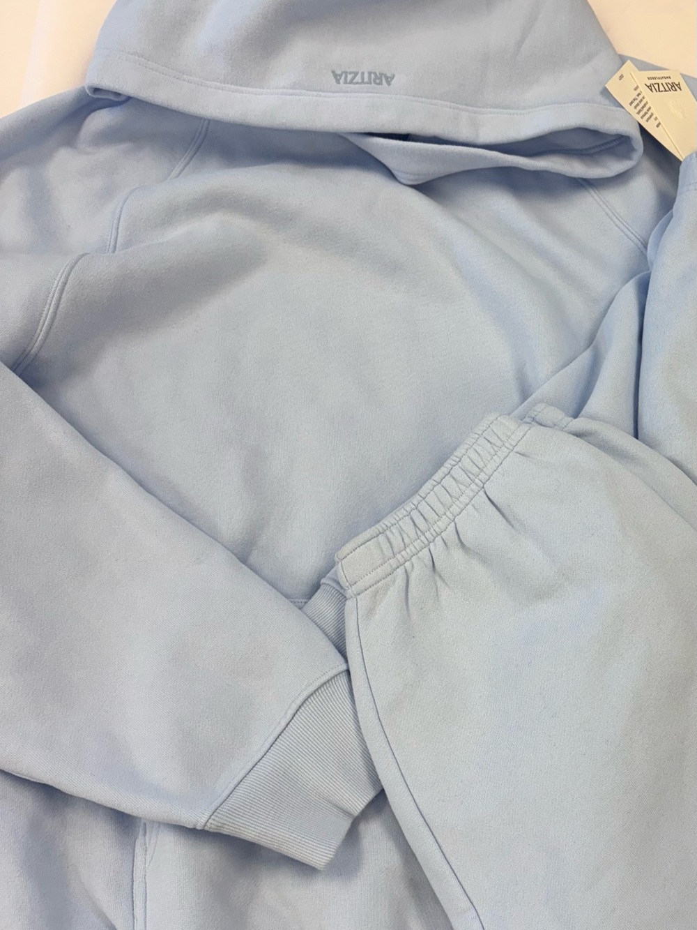 NWT aritzia sweatfleece hoodie